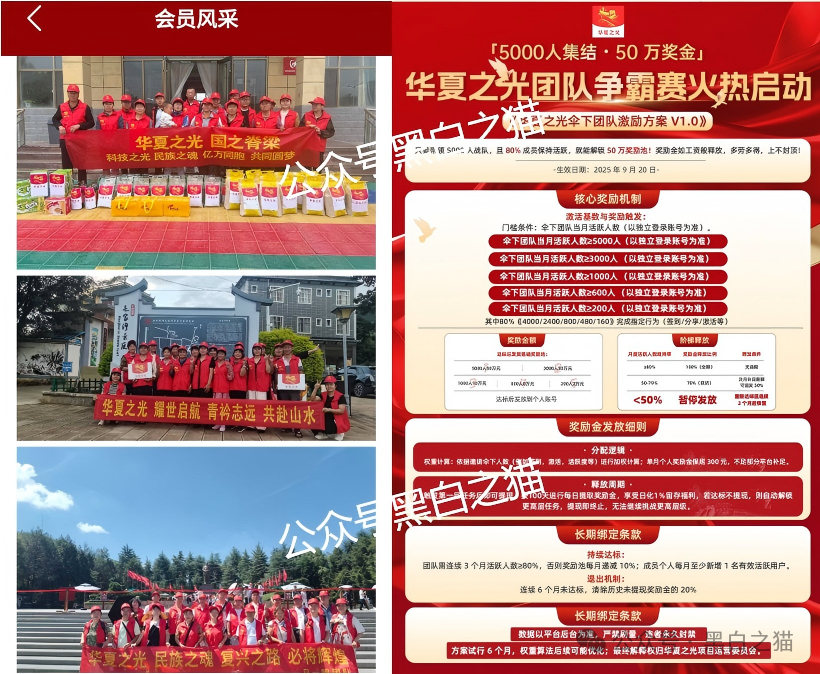 老年盘｜“华夏之光”项目投资被骗，追梦人还当了替罪羊，已踩到法律红线....