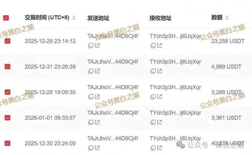 资金盘｜电诈团伙伪冒“新永安国际”，国内程序员做维护，请投资人远离貔貅盘......