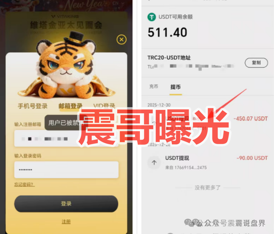 维塔金(VITAKING)是杀猪盘骗局，柬埔寨园区诈骗盘口，看见远离